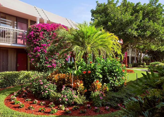 Collins Naples